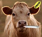 cow-smoking-pot-706747.jpg